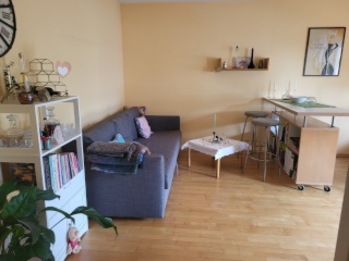 EZB-nahe, möblierte 2-Zimmer-Wohnung für 3 Monate in Ostend, Frankfurt am Main